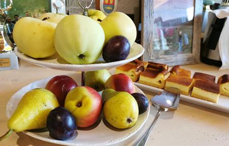 Oberauer Wagrain - Die Eco Familien Hotelpension slide 3