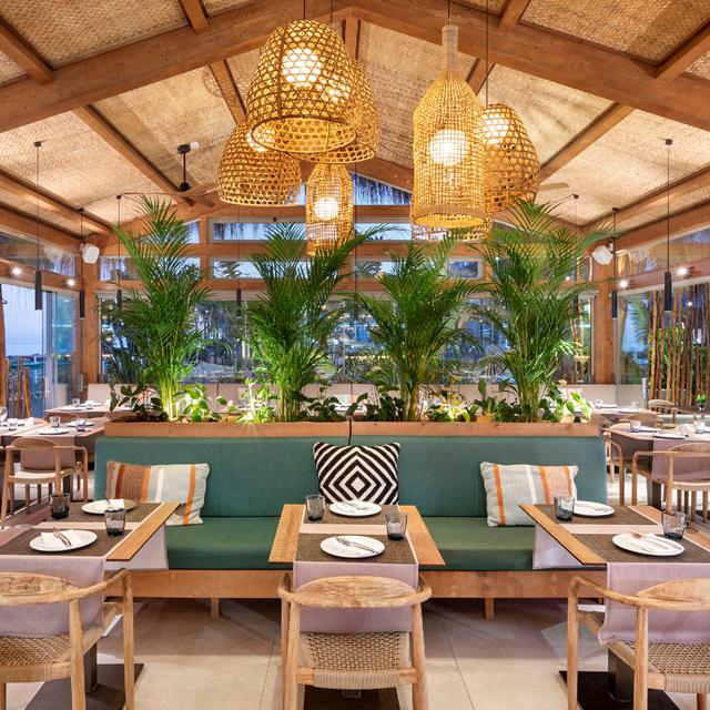 Hotel Meliá Costa del Sol - billede 5