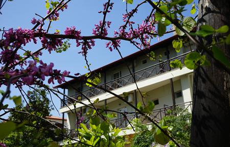 Hotel Morfeas billede 3