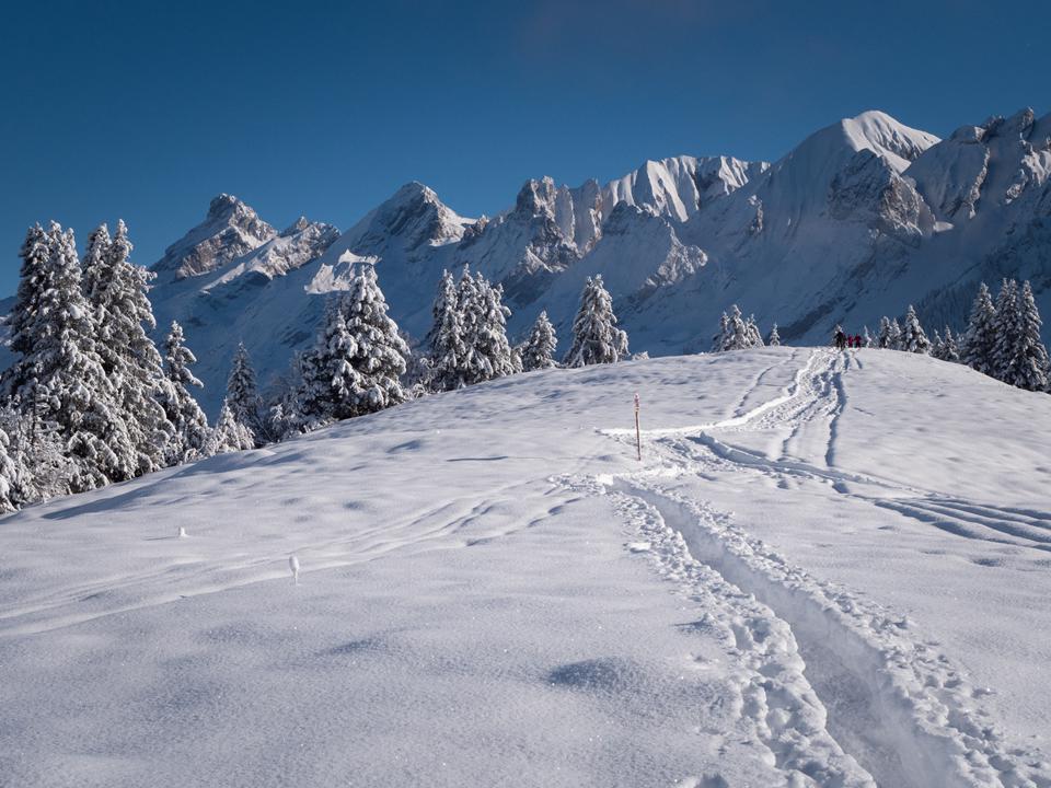 La Clusaz Foto: 1 af 1
