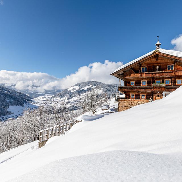 Ski Juwel Alpbachtal Wildschönau - billede 4