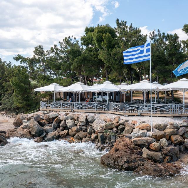 Hotel Blue Dolphin - billede 5
