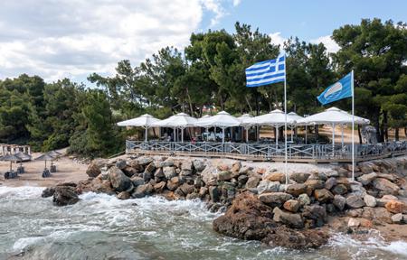 Hotel Blue Dolphin billede 5