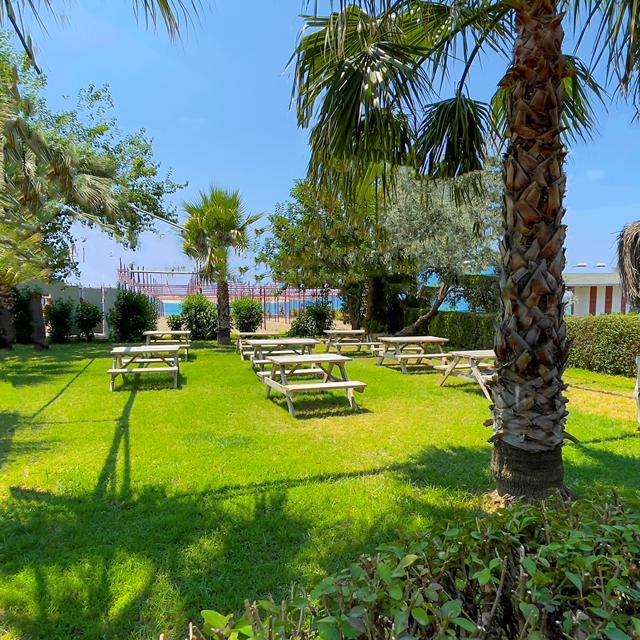 Hotel Solivia - billede 5