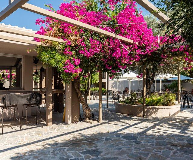 White Olive Premium Lindos - billede 4