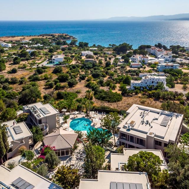 White Olive Premium Lindos - billede 2