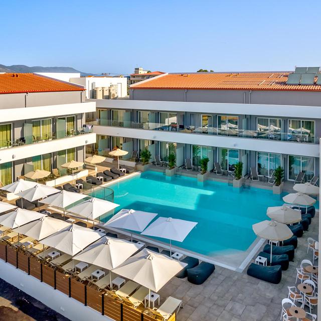 White Olive Premium Laganas - billede 2