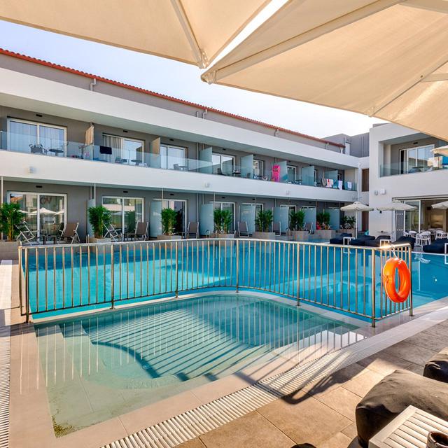 White Olive Premium Laganas - hovedbillede