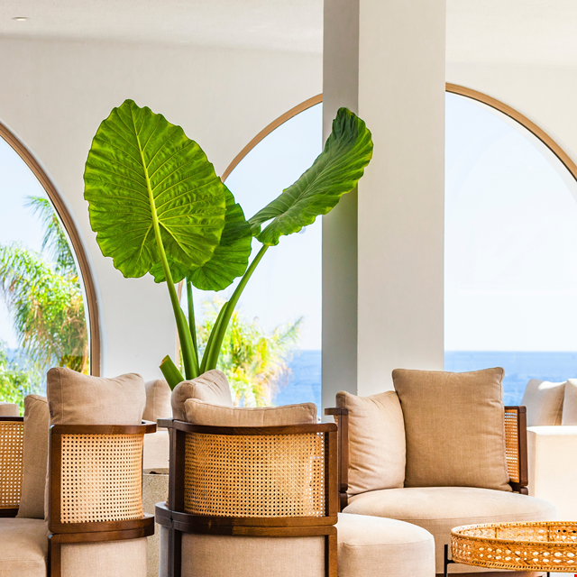 Hotel Blue Sea Island - billede 4