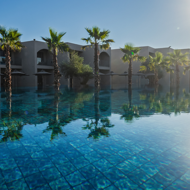 Hotel Blue Sea Olivia - Voksenhotel