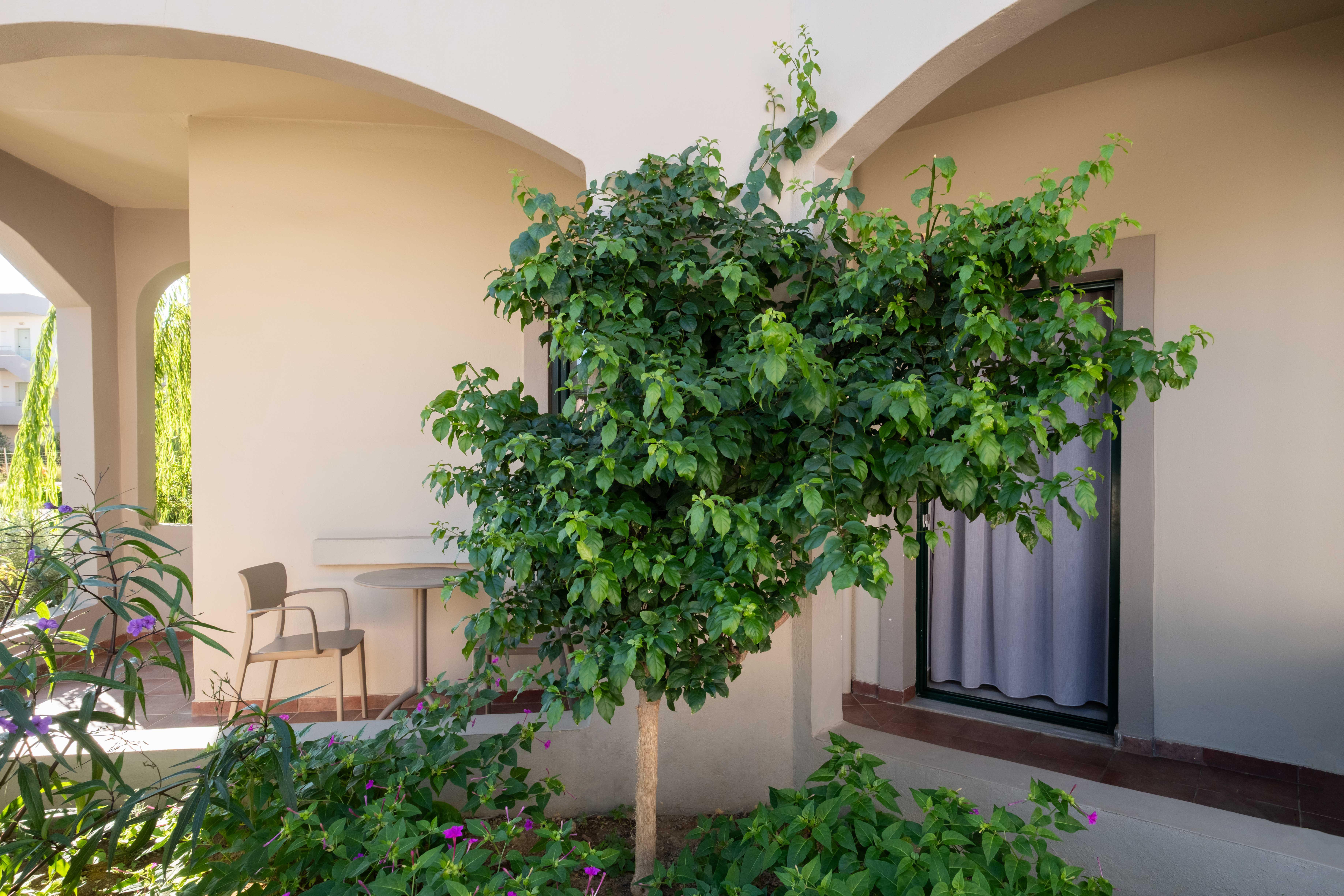 Hotel Romantica slide 4