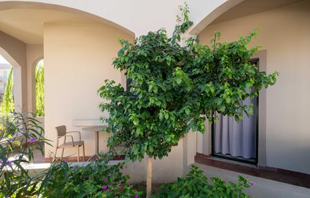 Hotel Romantica billede 4