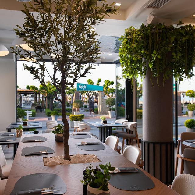 Olympic Star Beach Hotel - billede 2