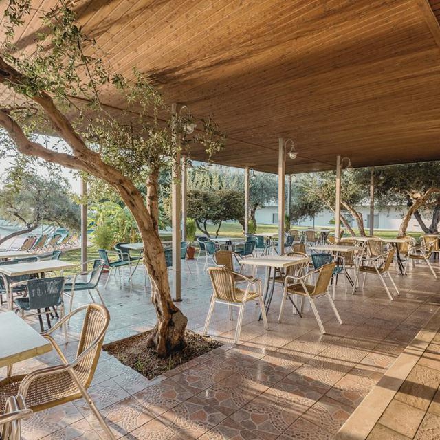 Hotel Marianna Palace - billede 4