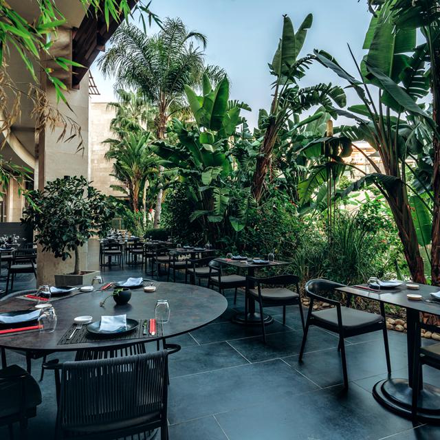 Hotel Paloma Pasha - billede 5