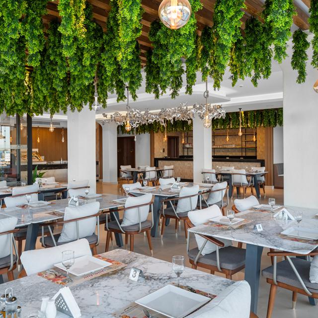 Beach Albatros Resort Hotel - billede 5