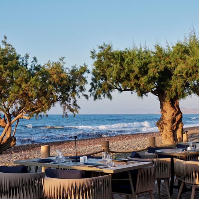 Hotel Atlantica Ocean Beach Resort - billede 5