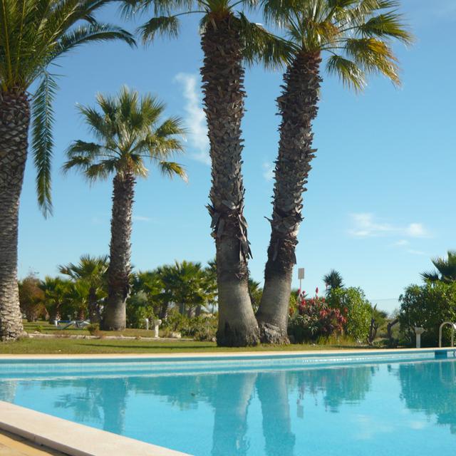 Praia da Lota Hotel - billede 5