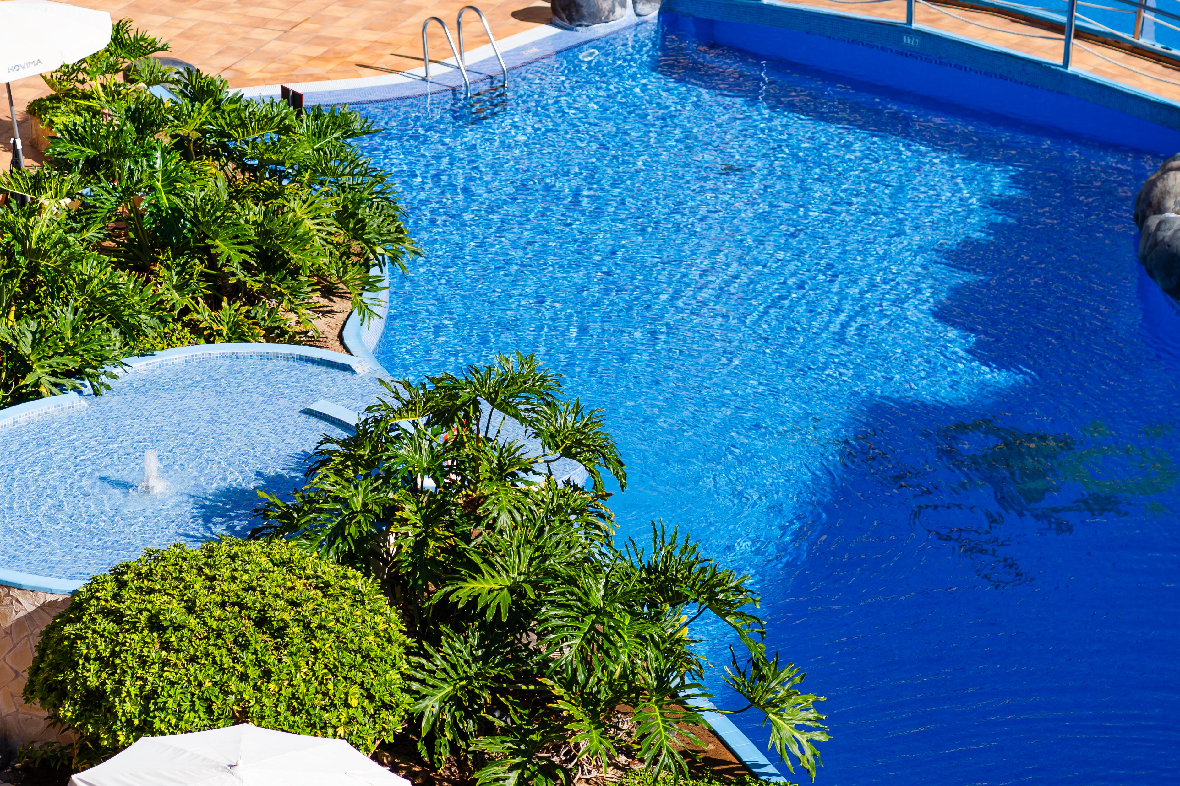 HOVIMA Jardín Caleta slide 2