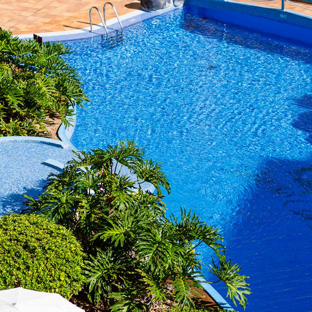 HOVIMA Jardín Caleta - billede 2