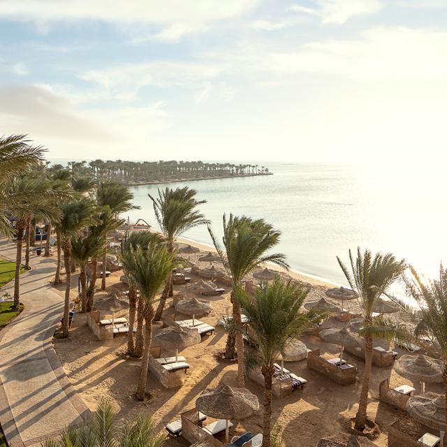 Hotel Palm Royale Soma Bay Resort - billede 5