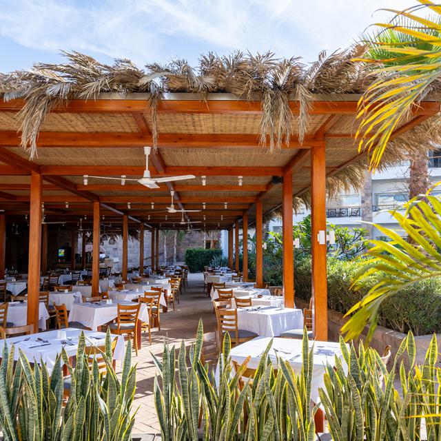 Fort Arabesque West Bay Hotel - Voksenhotel - billede 4