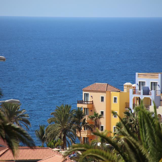 Bahía Principe Explore Costa Adeje - billede 2