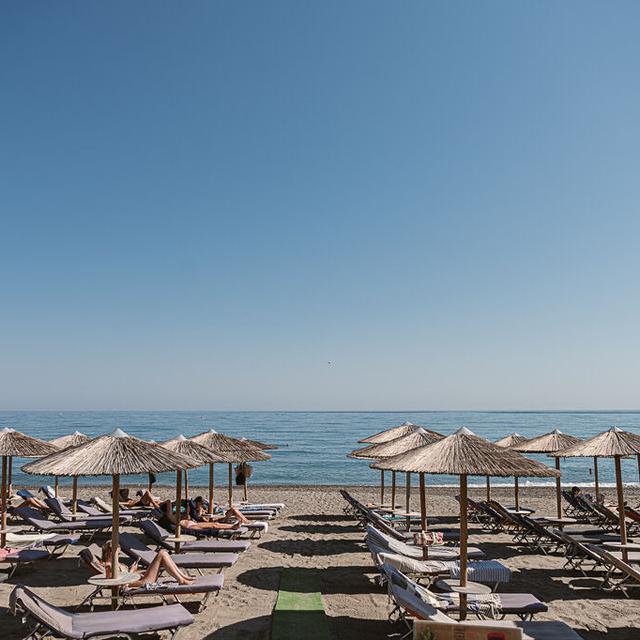 Erato Aparthotel - Voksenhotel - billede 2