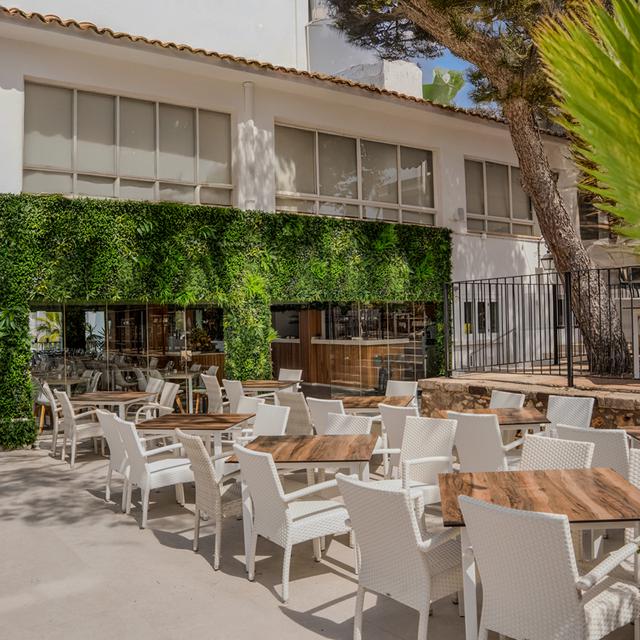 MarSenses Natura Olea Hotel - voksenhotel - billede 3