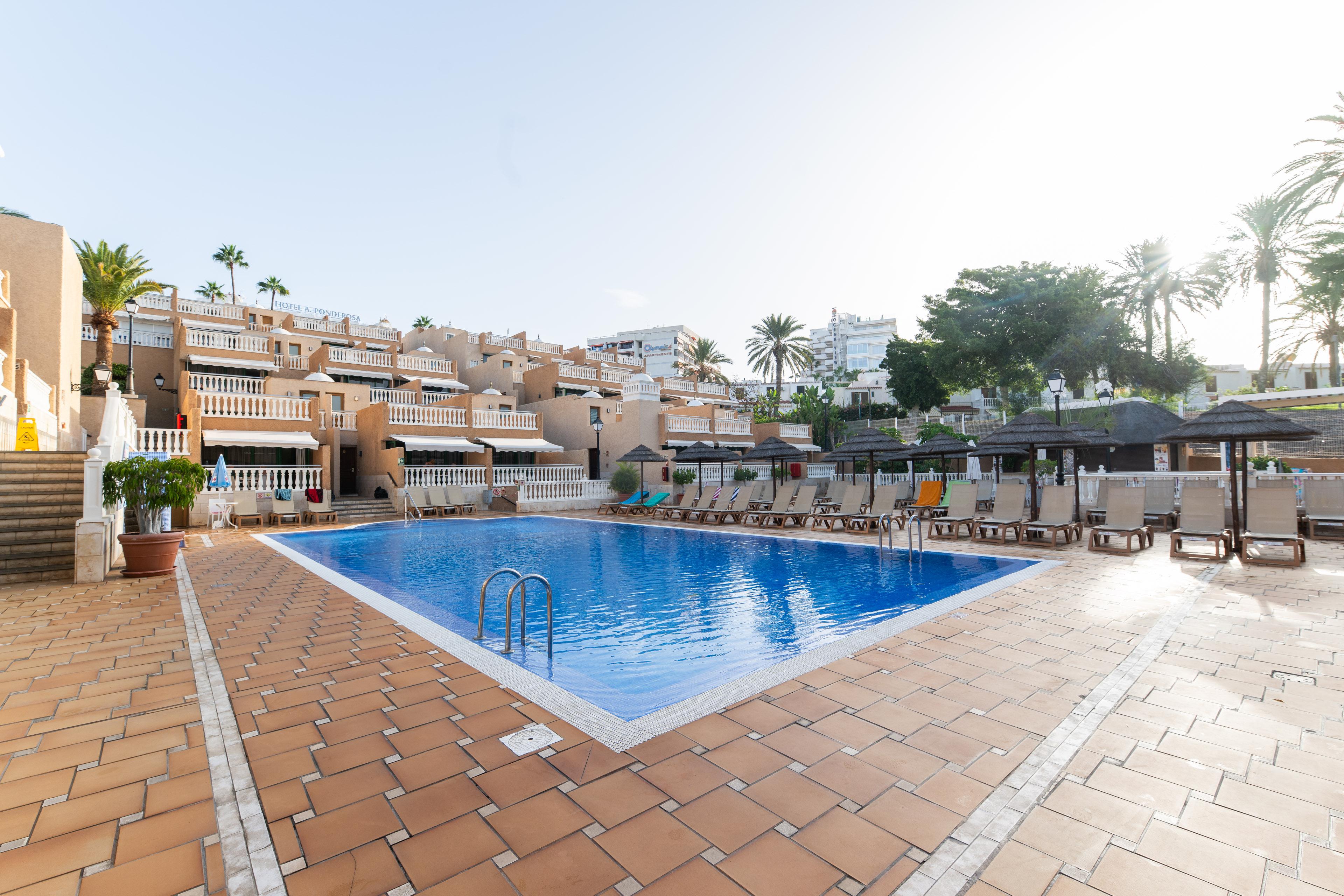 Playa de Las Americas, Spanien - Uden forplejning afbudsrejse