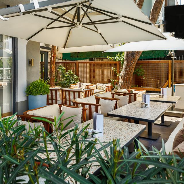 Hotel Sherwood Premio - billede 3